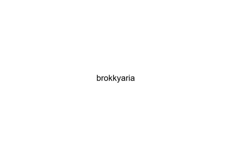 brokkyaria