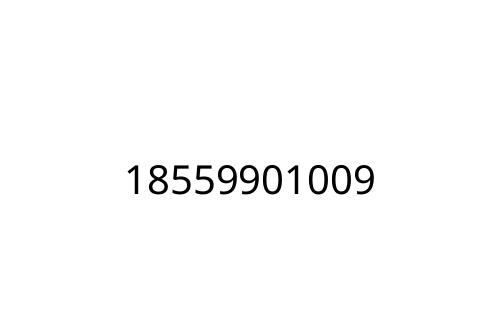 18559901009
