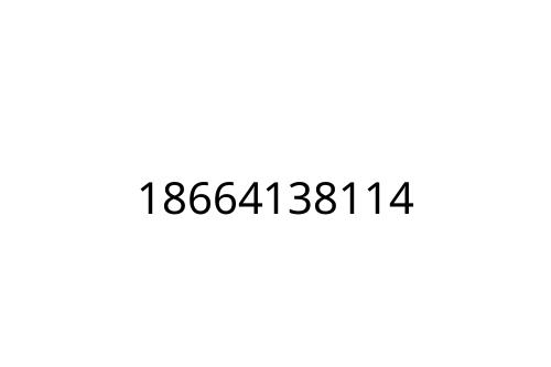 18664138114