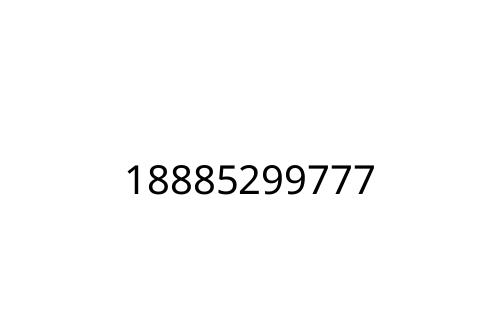 18885299777
