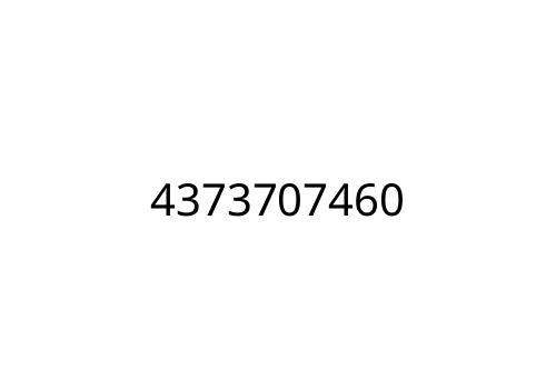 4373707460