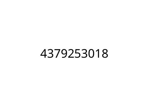 4379253018