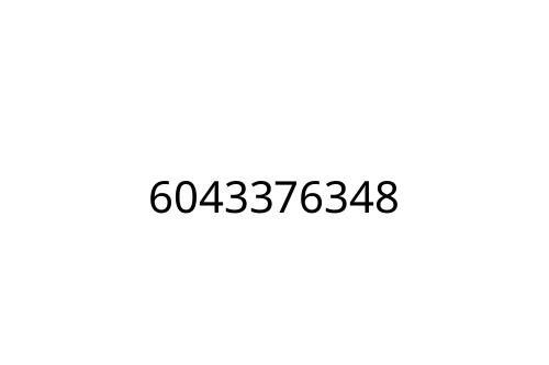 6043376348