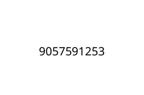 9057591253