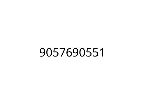 9057690551