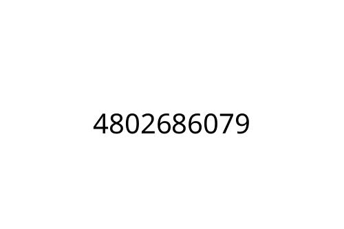 4802686079