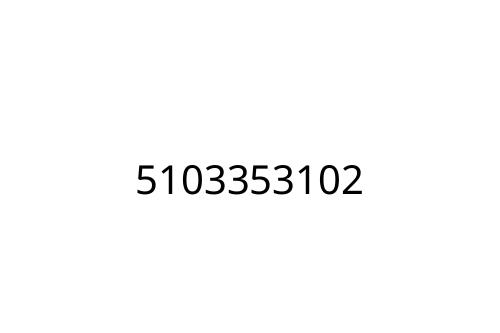 5103353102