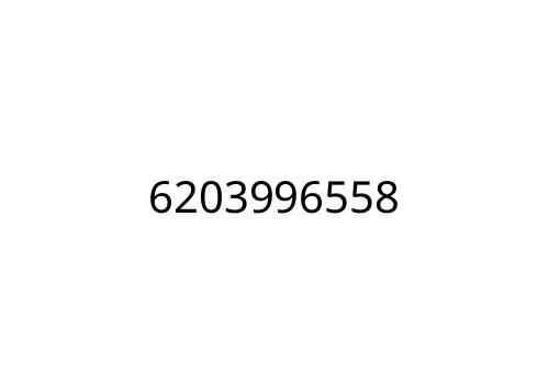 6203996558