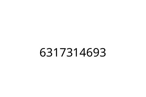 6317314693