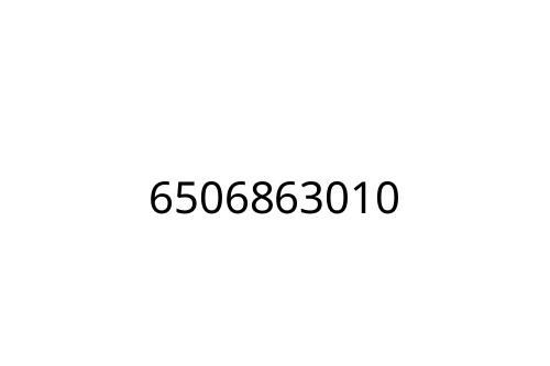 6506863010