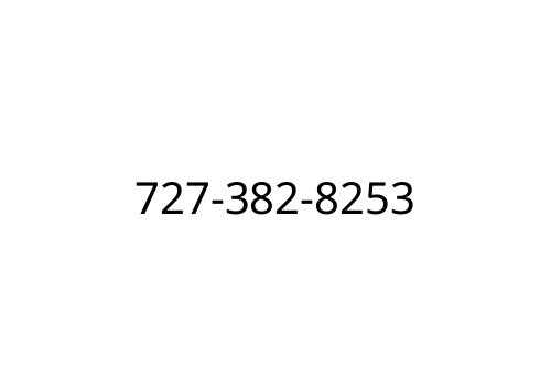 727-382-8253