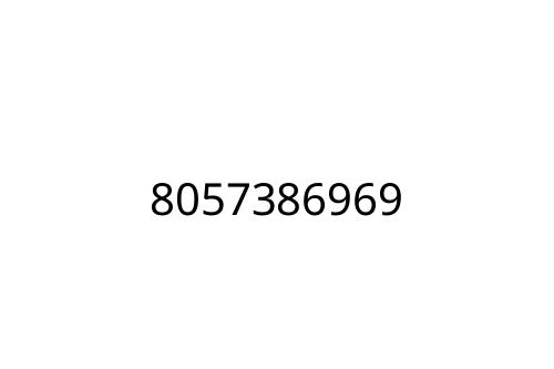 8057386969