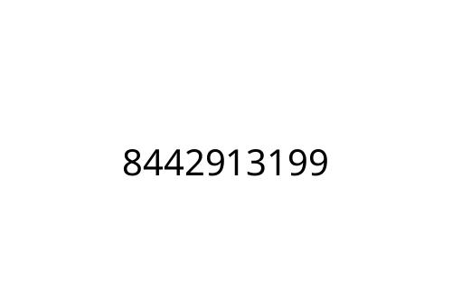 8442913199