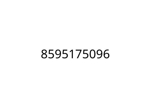8595175096
