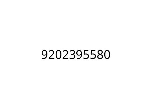9202395580
