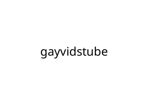gayvidstube
