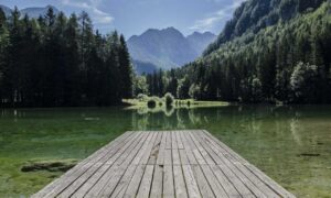 active learning fparentips