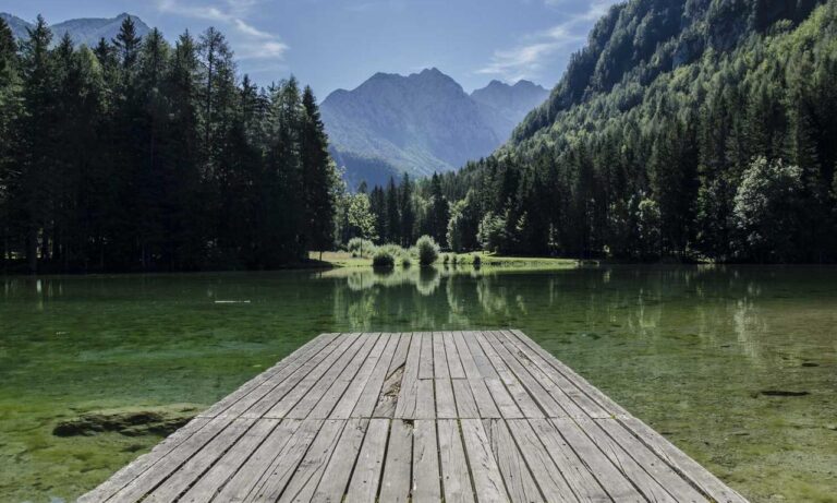 active learning fparentips