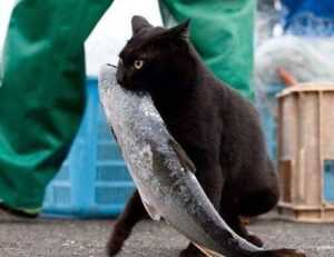 active learning guide fparentips