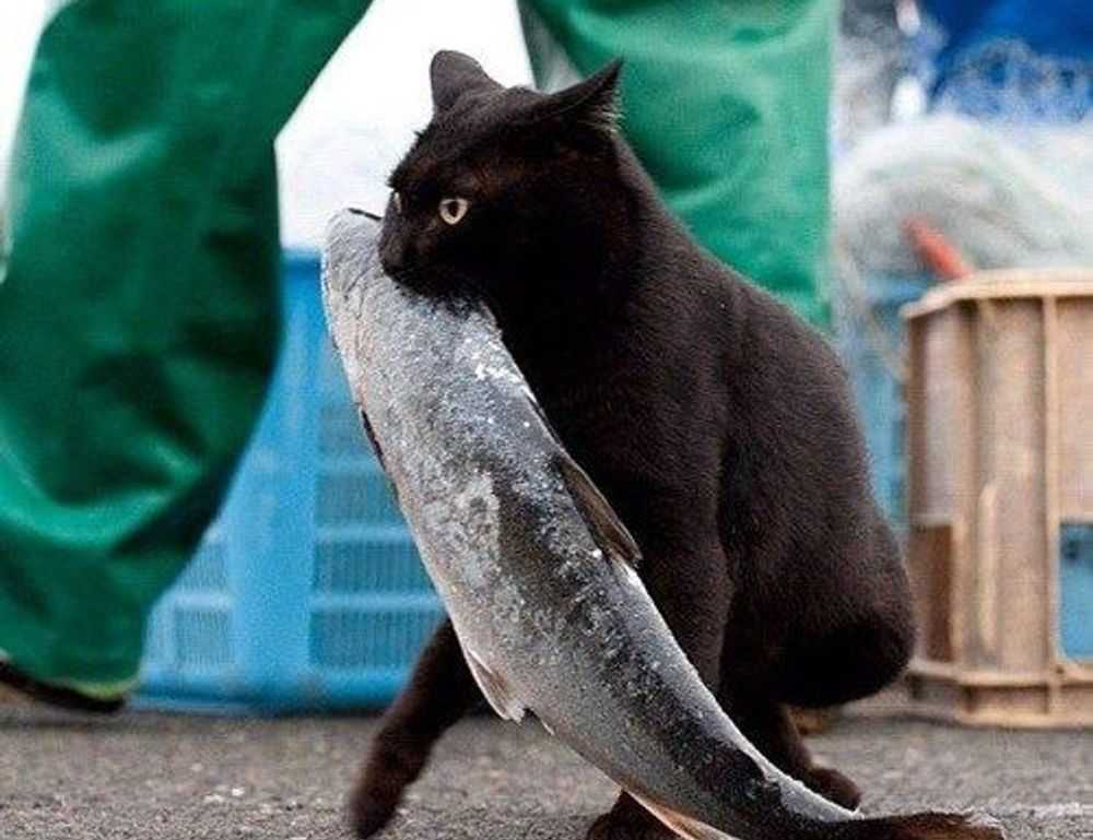 active learning guide fparentips