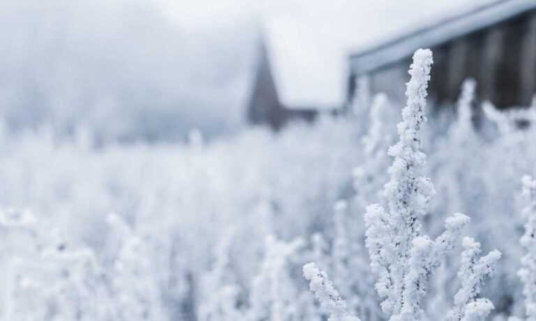 advice for family members of llblogfamily