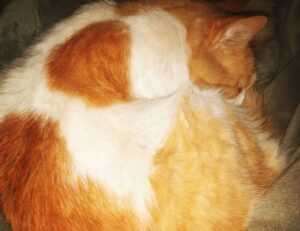 family education nitkaedu