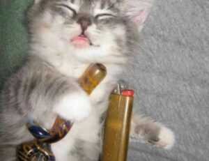 food named hingagyi in myanmar