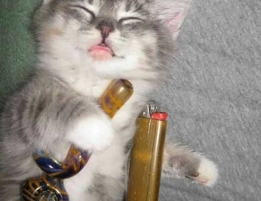 food named hingagyi in myanmar