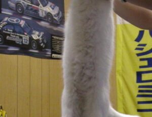 health guide fparentips