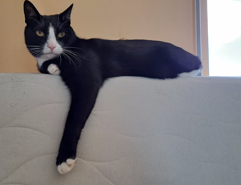 health hacks fparentips