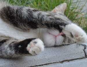 healthy hacks llblogfamily