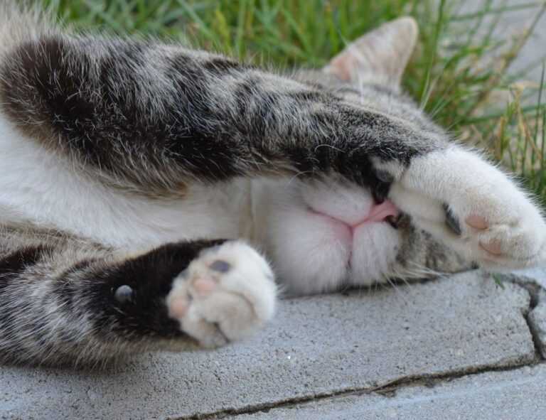 healthy hacks llblogfamily