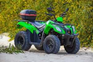 nutrition guide fparentips