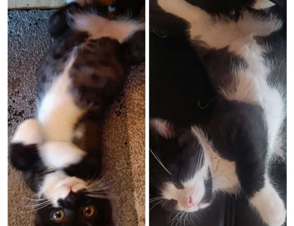 nutrition guide llblogfamily