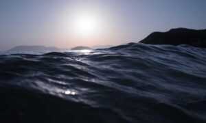 which advice should be given to parents who llblogfamily