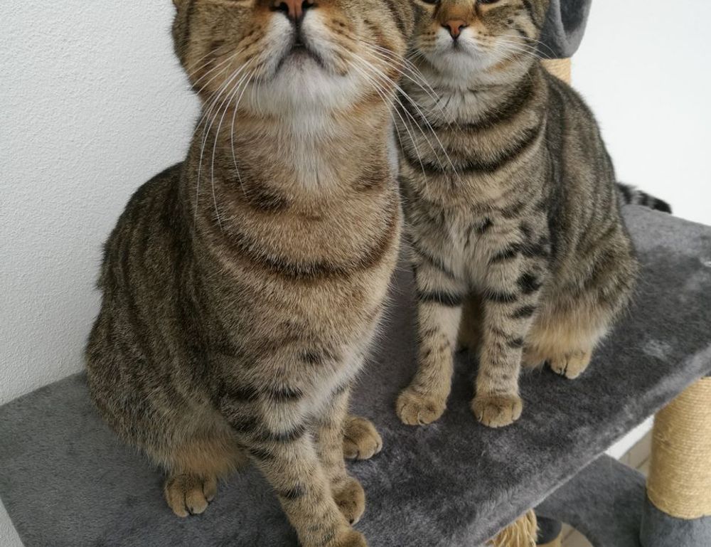 1080p badass itachi wallpaper