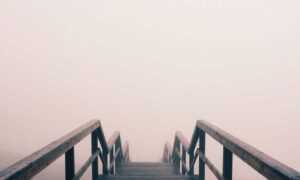 andreea bostanica inaltime