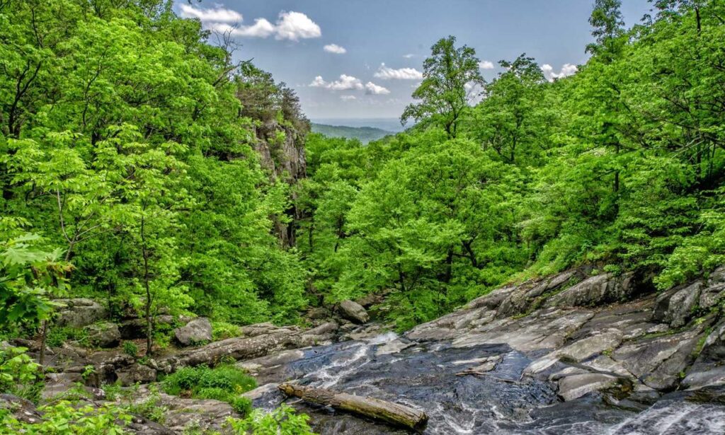 molly and jordy onlyfans