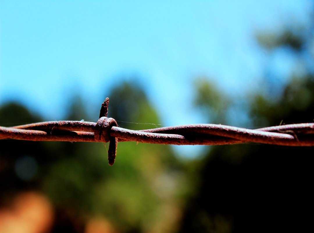 advice for family members of llblogfamily