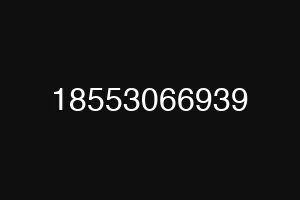 18553066939
