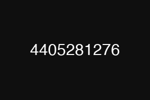 4405281276