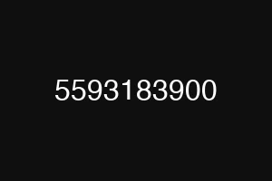 5593183900