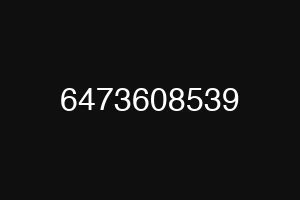 6473608539