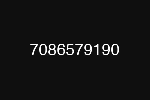 7086579190