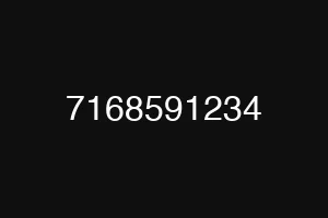 7168591234