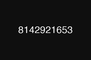 8142921653