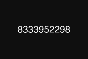 8333952298
