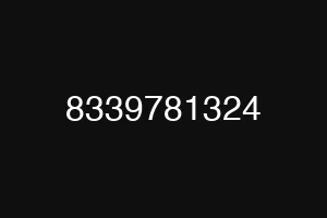 8339781324