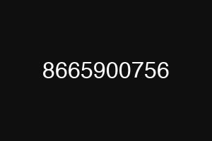 8665900756