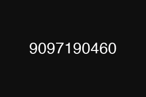 9097190460